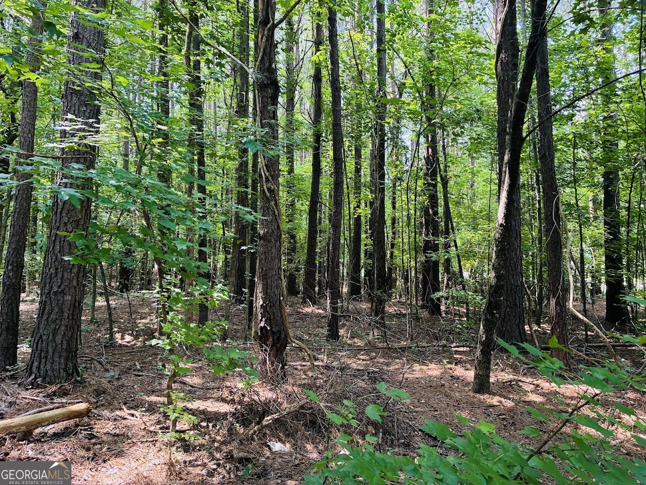 0 Mapledale Trail Property Photo 8