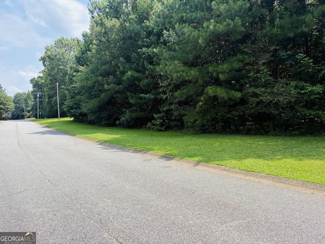 0 Mapledale Trail Property Photo 9