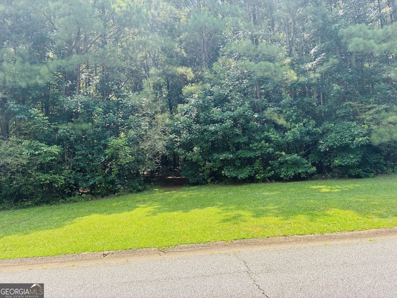 0 Mapledale Trail Property Photo 10