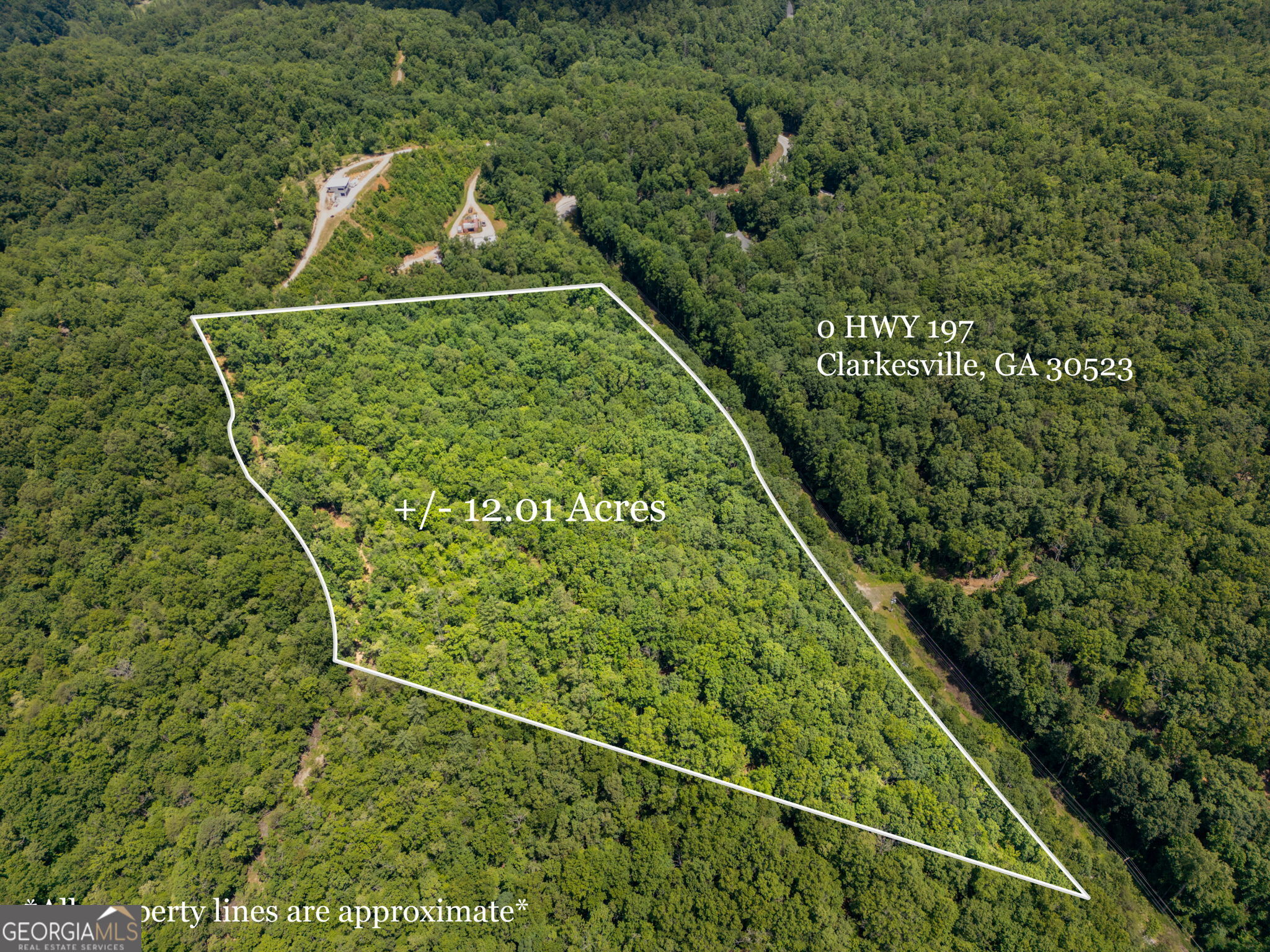 0 Hwy 197 Property Photo 3