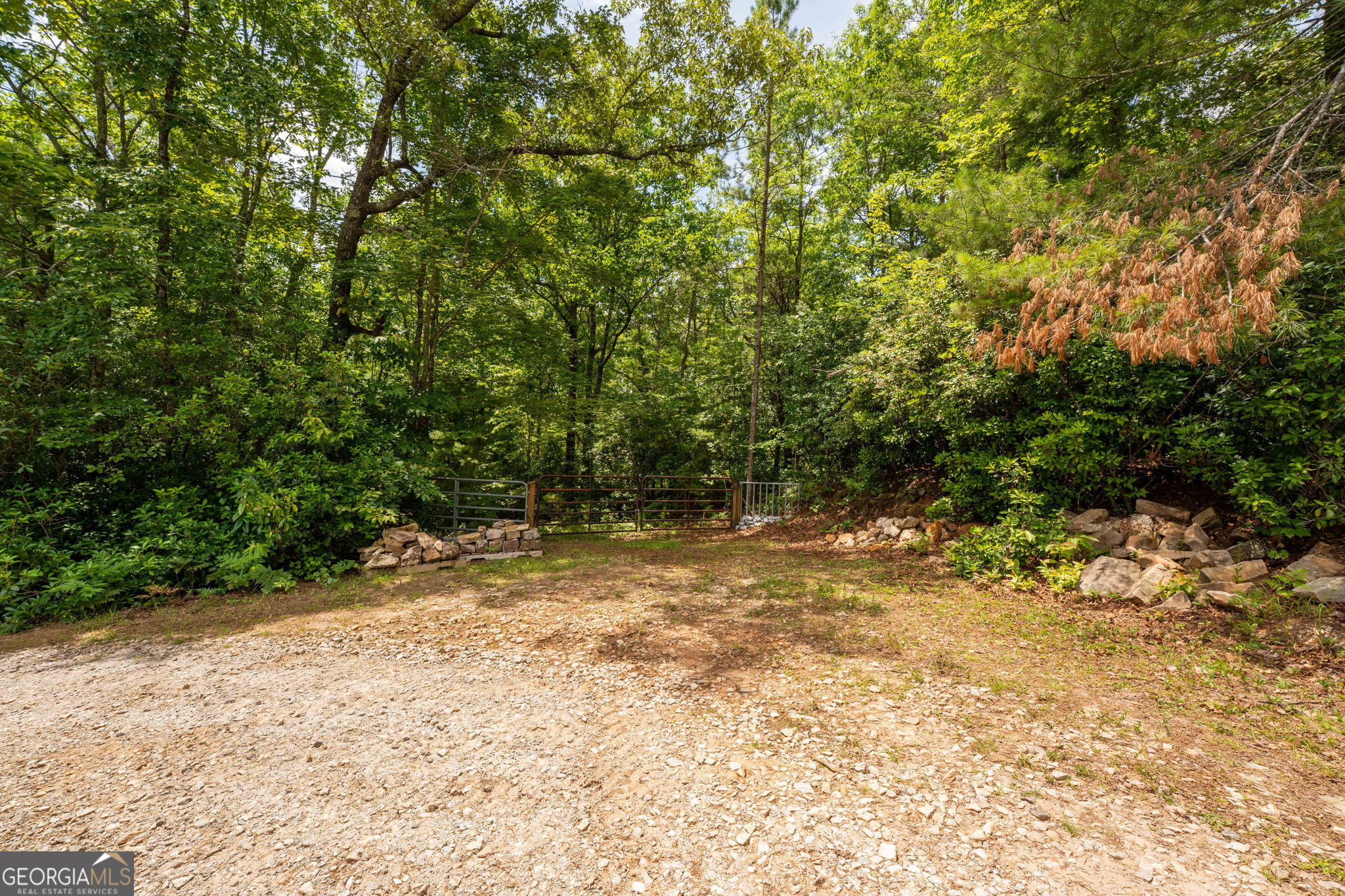 0 Hwy 197 Property Photo 20