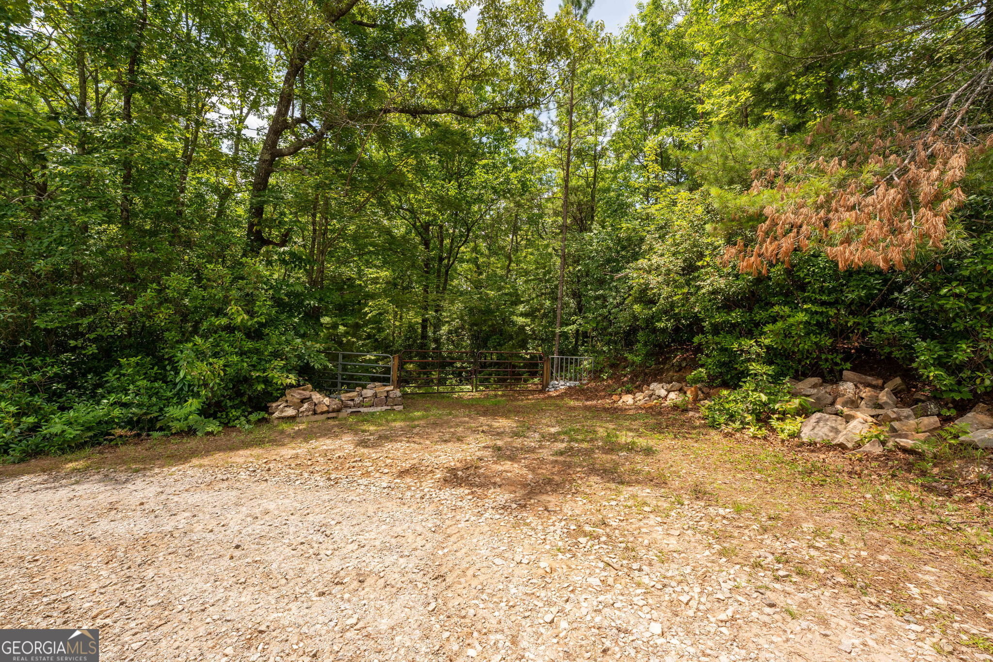 0 Hwy 197 Property Photo 21