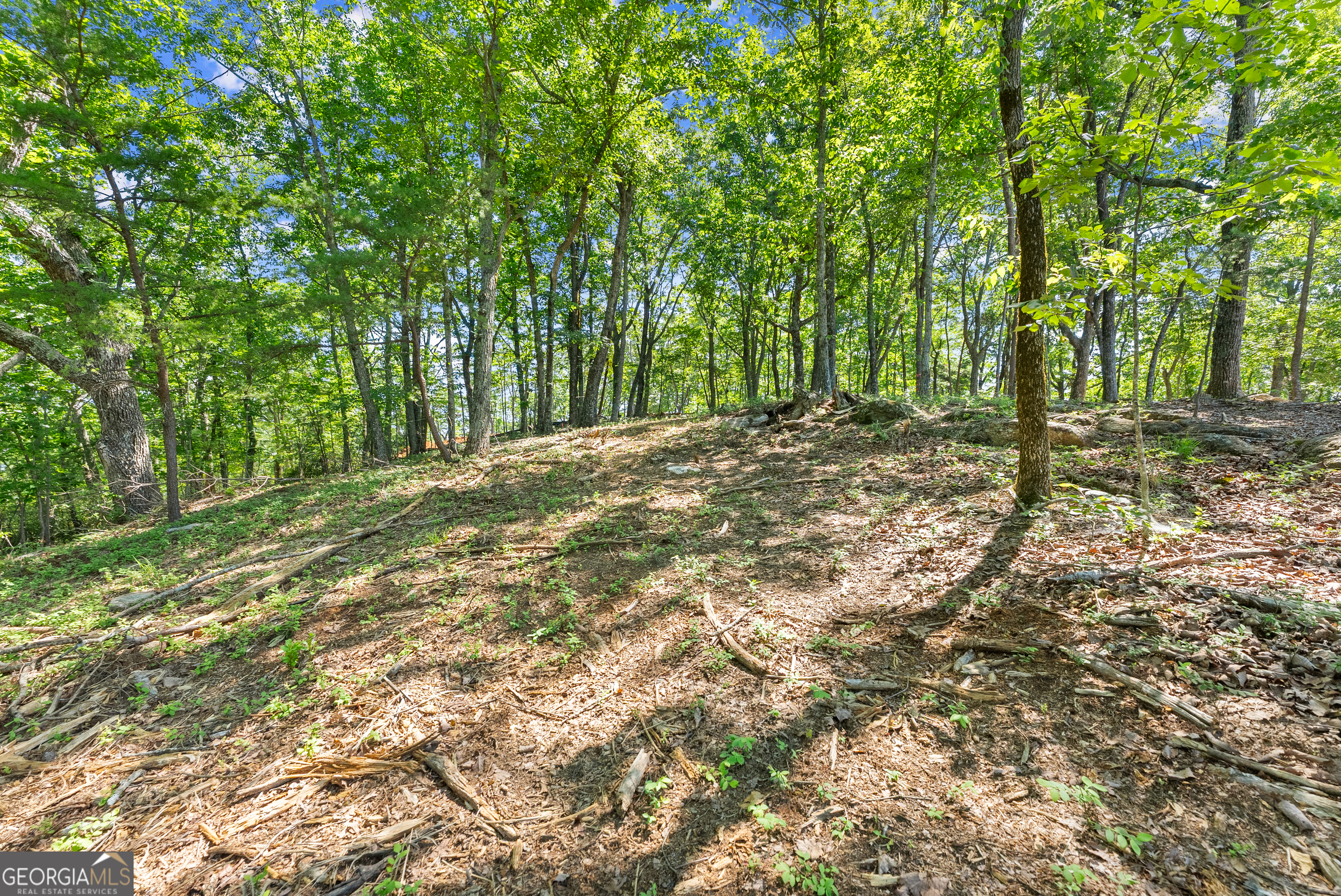 95 Chimney Oaks Trail Property Photo 1