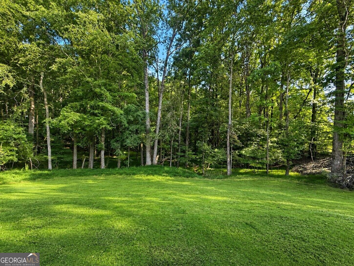 3983 Meadowland Drive Property Photo 66
