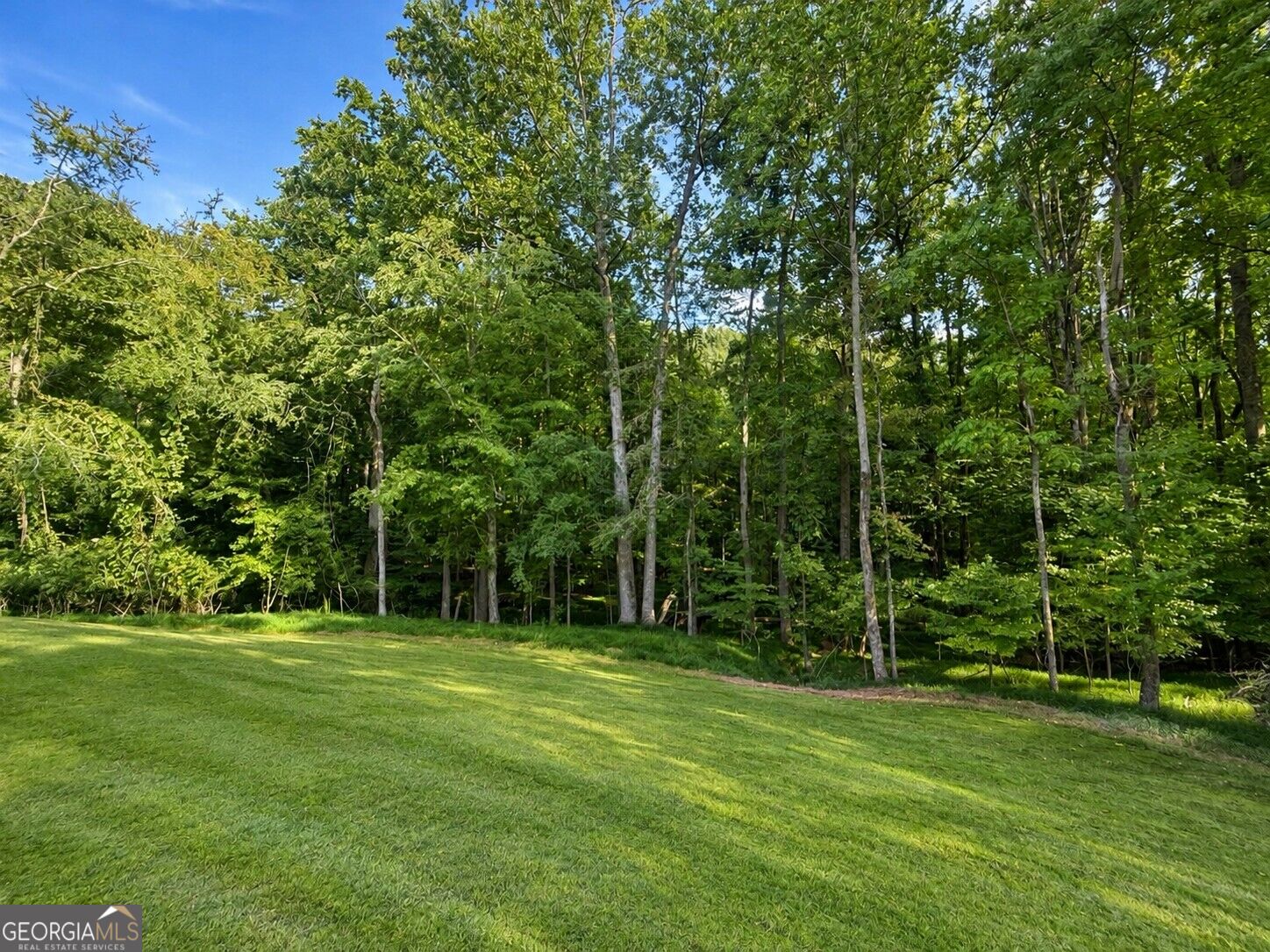3983 Meadowland Drive Property Photo 67