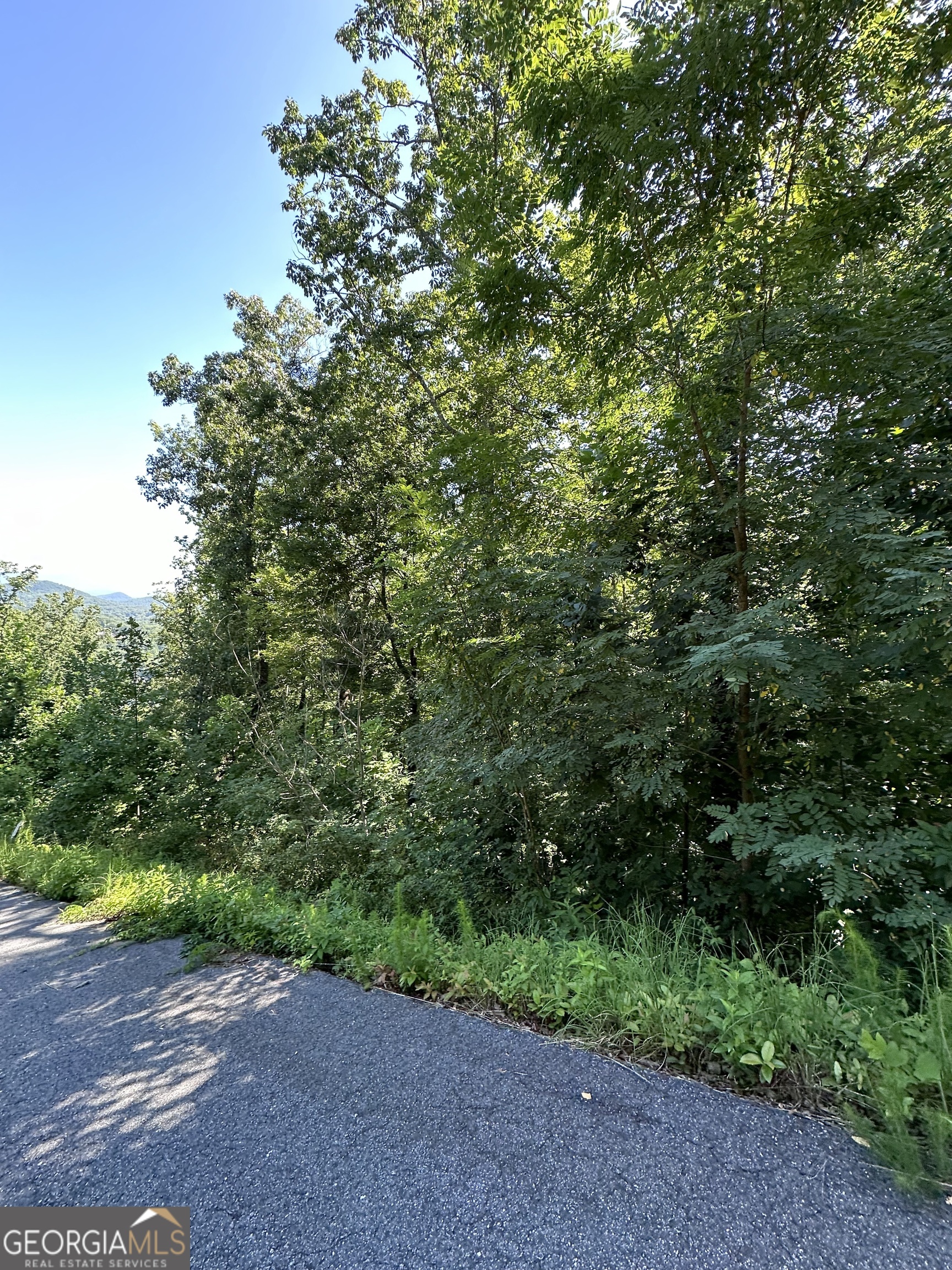 0 Ivy Ridge Property Photo 4
