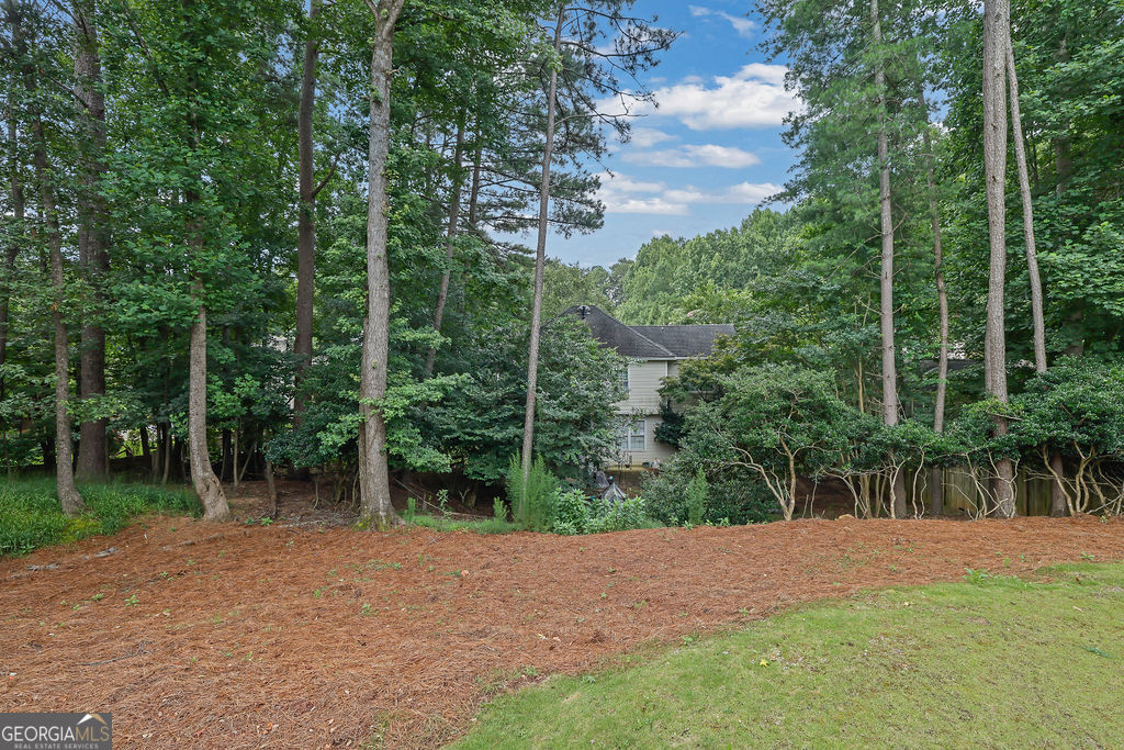 330 Shady River Trce Property Photo 35