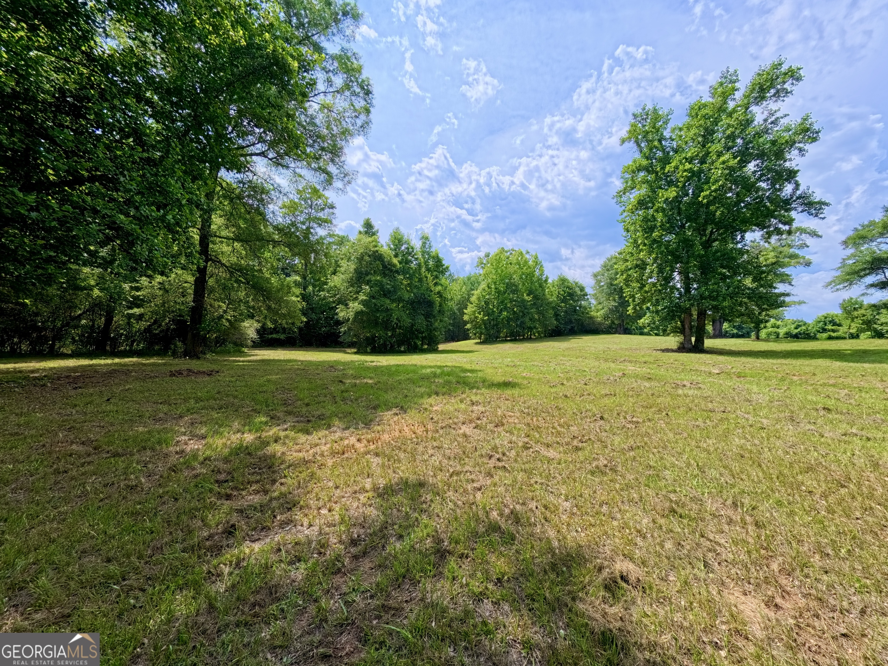 0 Ga Highway 18 Property Photo 29