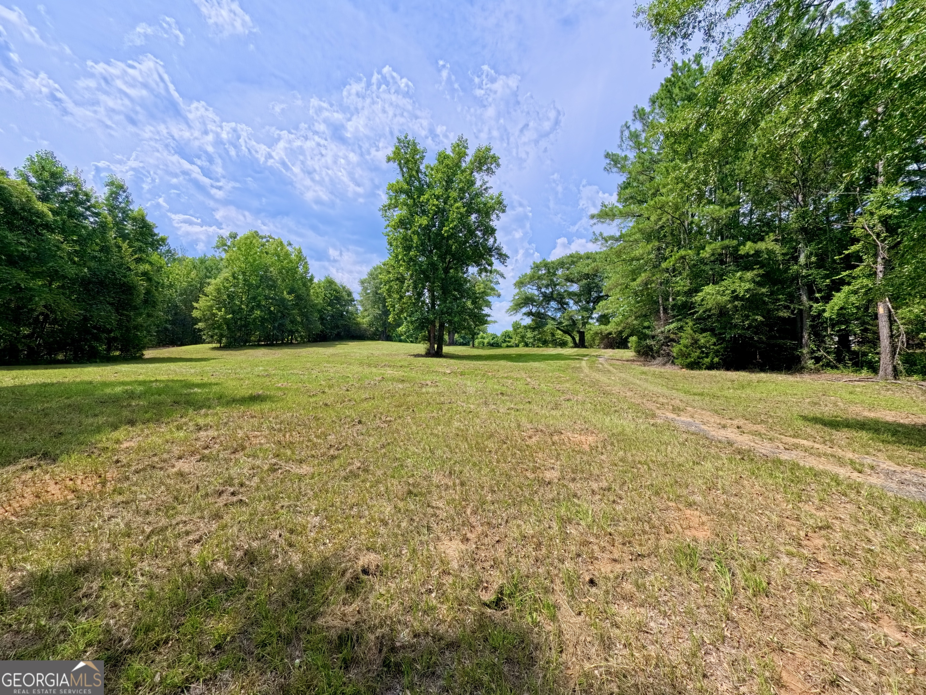 0 Ga Highway 18 Property Photo 30