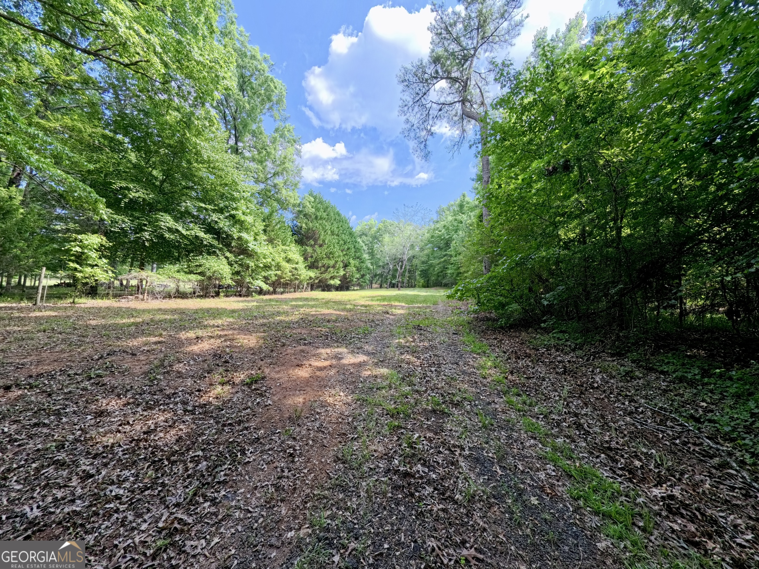 0 Ga Highway 18 Property Photo 33