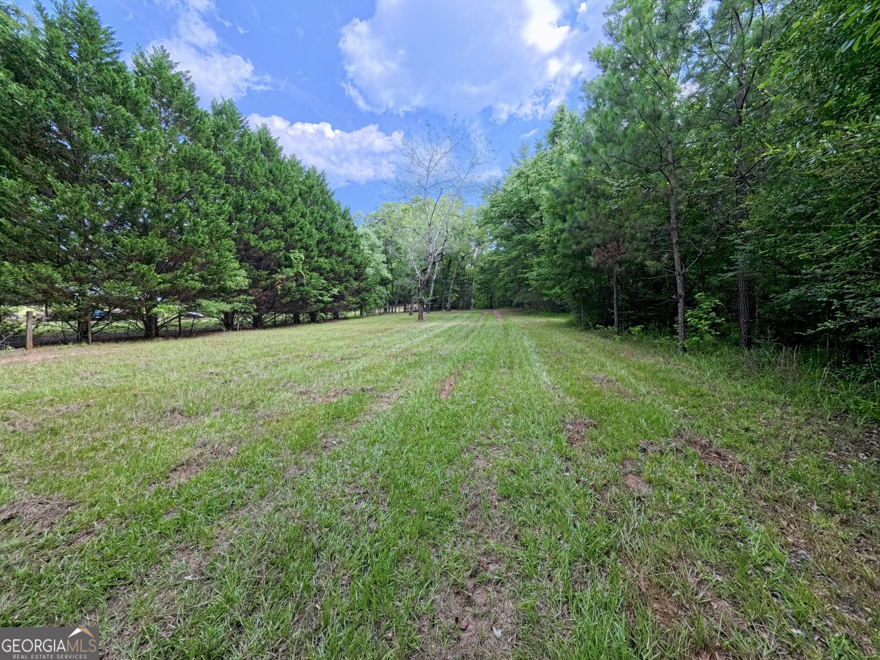 0 Ga Highway 18 Property Photo 34