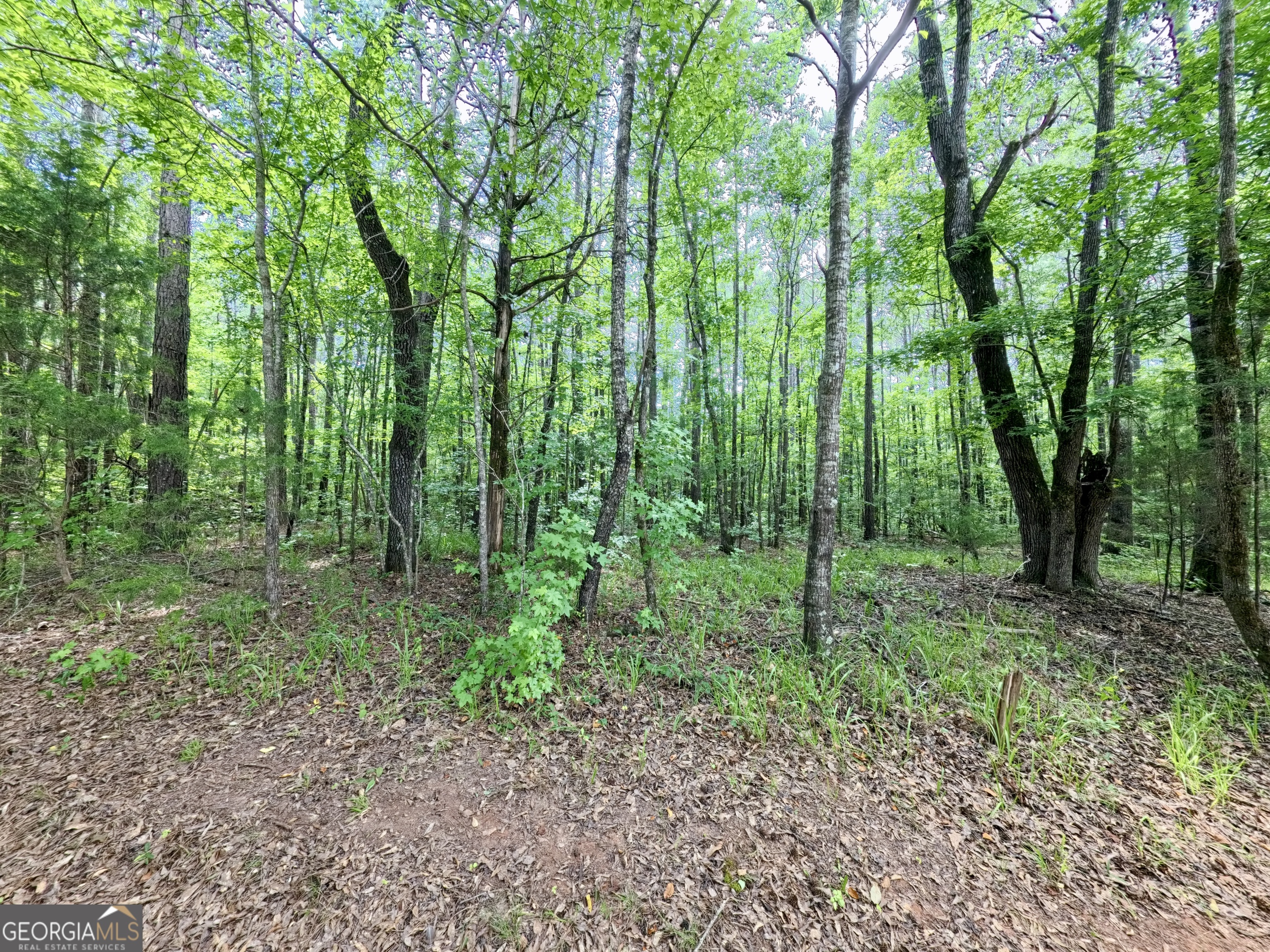 0 Ga Highway 18 Property Photo 36