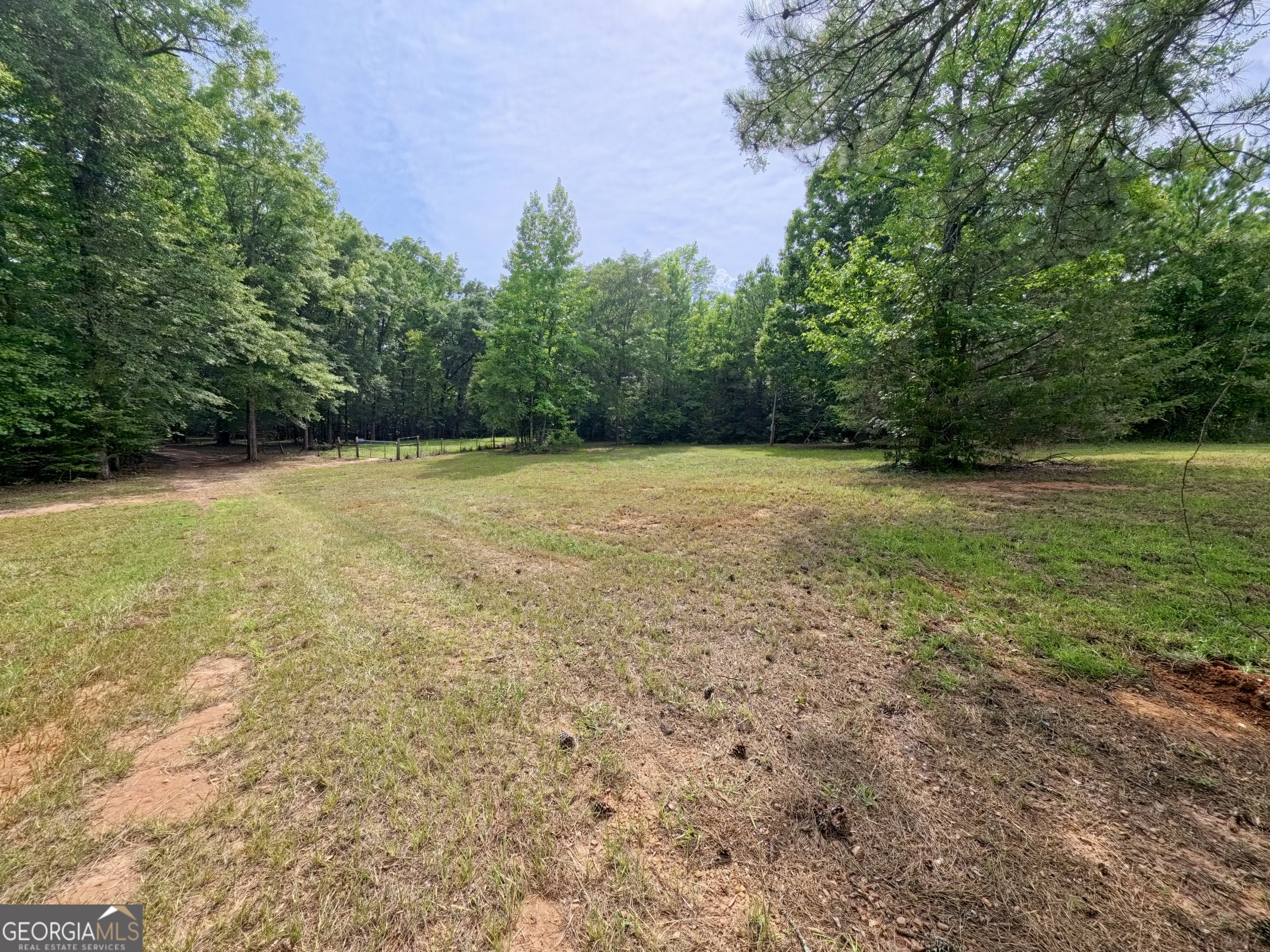 0 Ga Highway 18 Property Photo 37