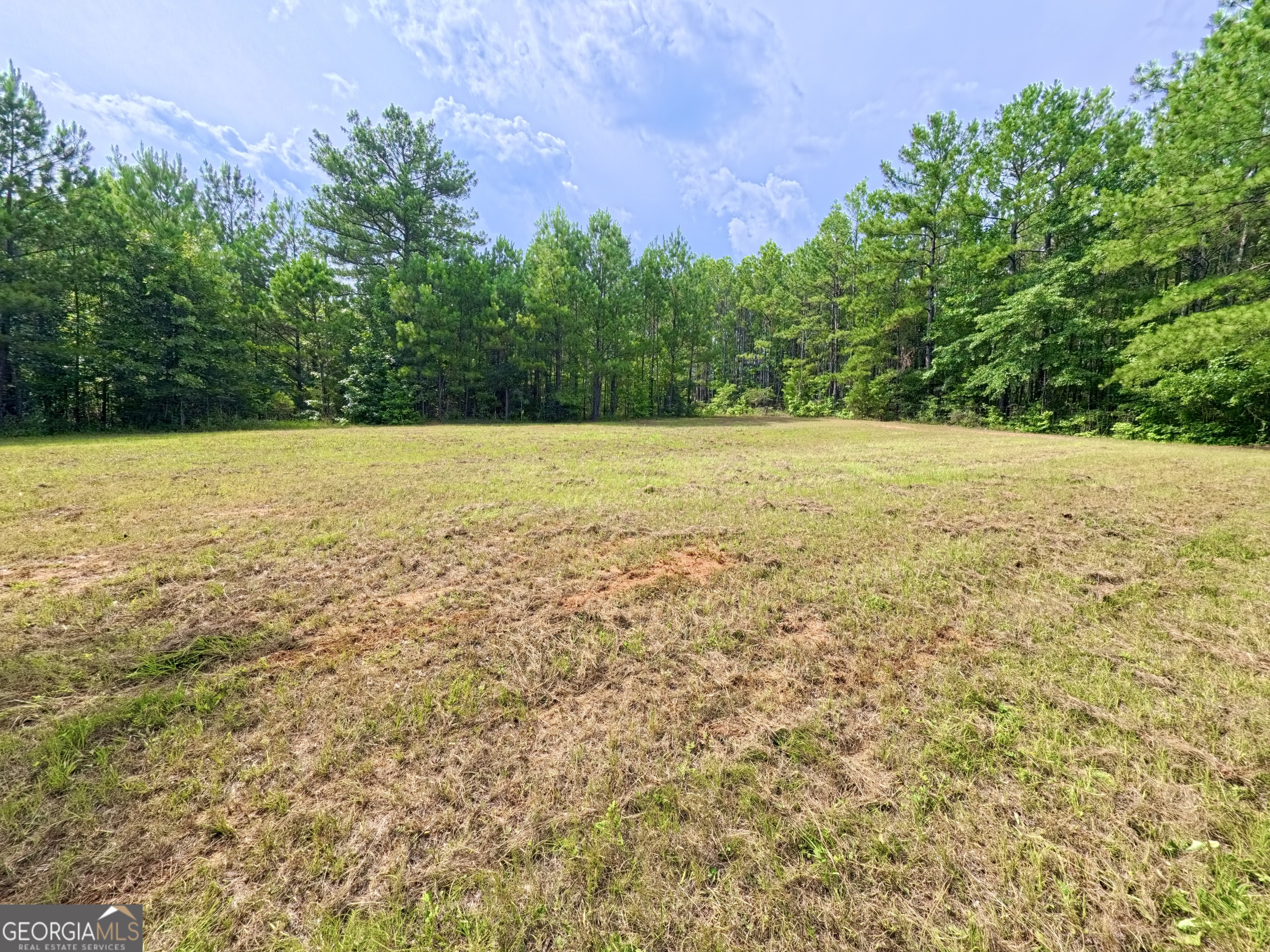 0 Ga Highway 18 Property Photo 38