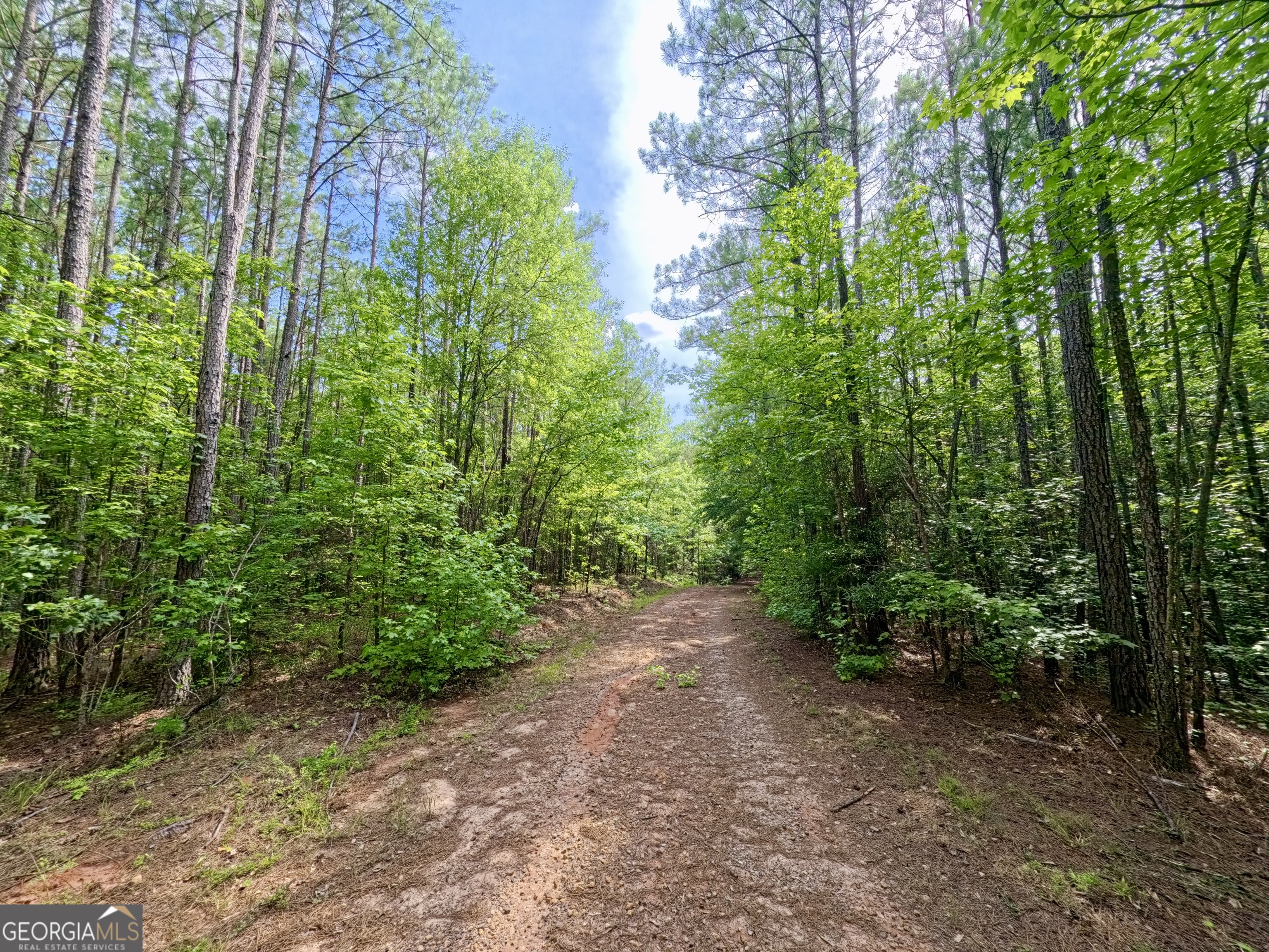 0 Ga Highway 18 Property Photo 39
