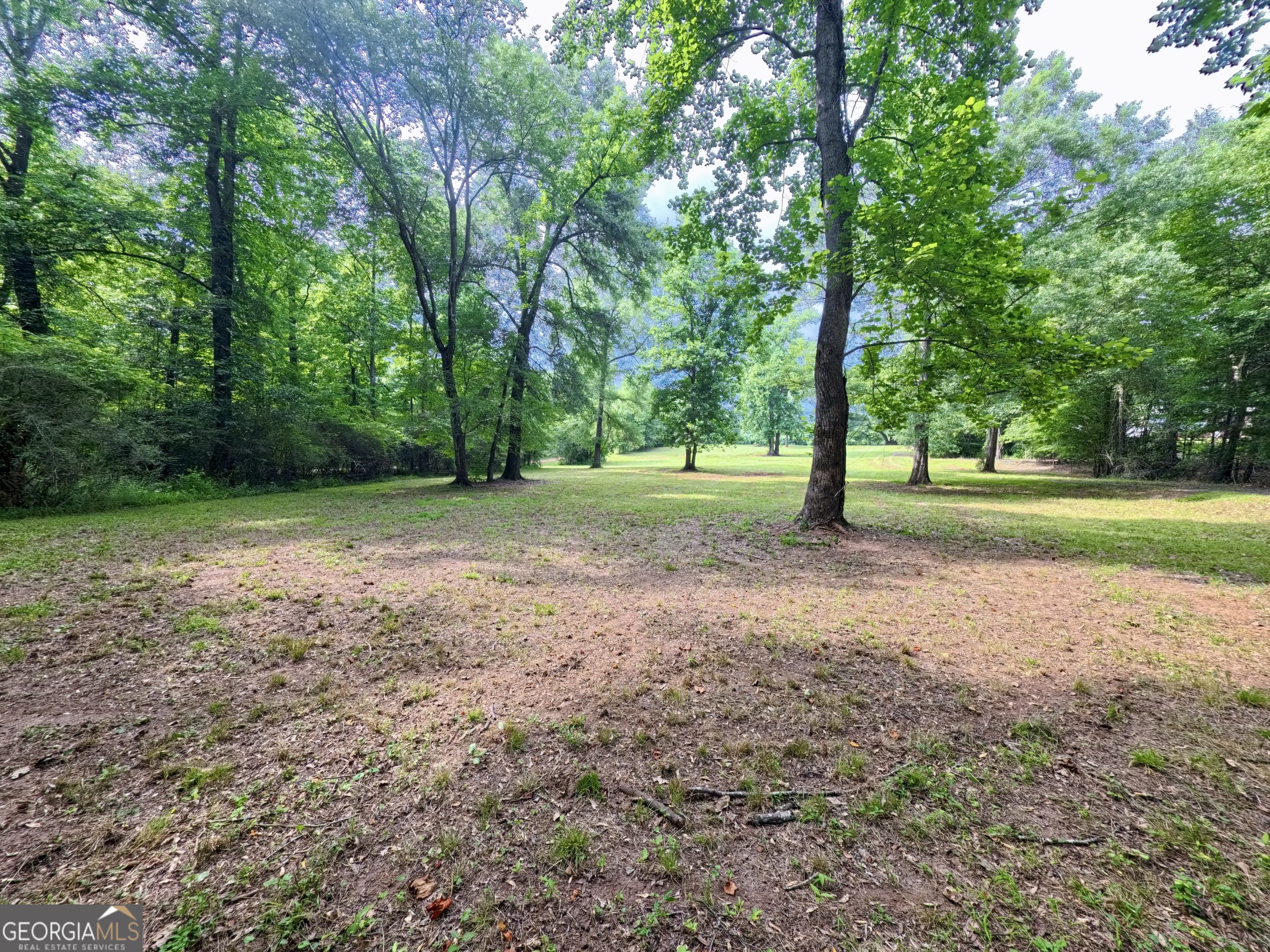 0 Ga Highway 18 Property Photo 43