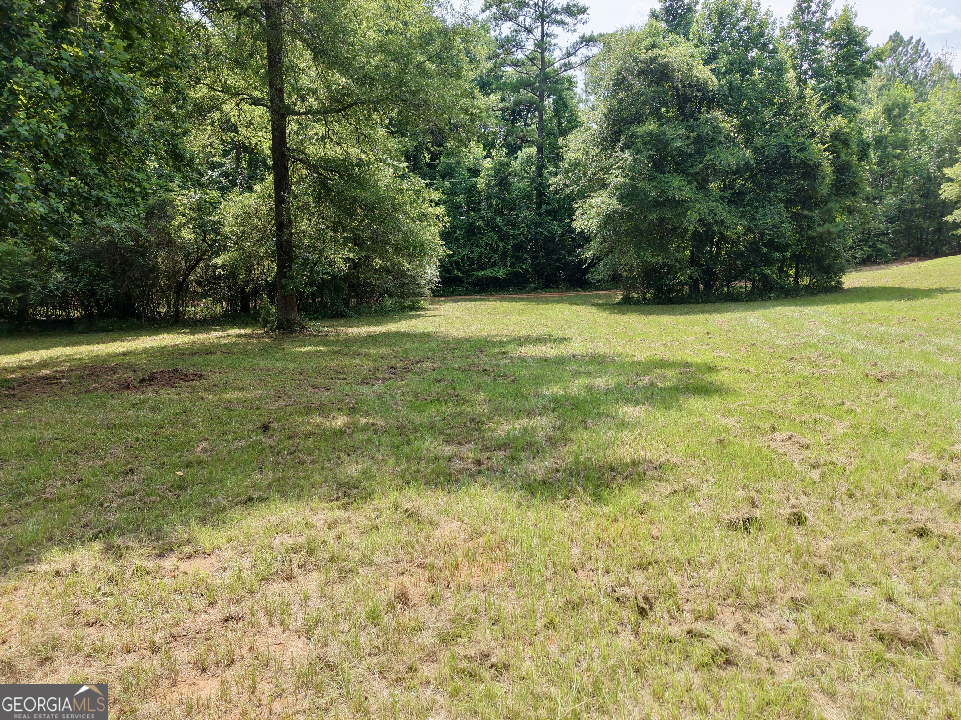 0 Ga Highway 18 Property Photo 45