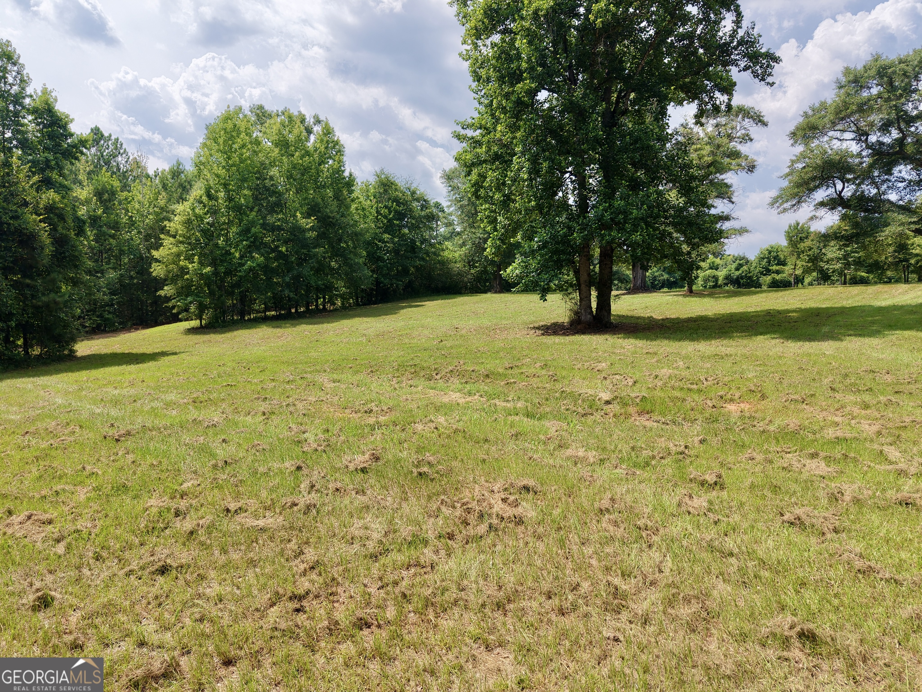 0 Ga Highway 18 Property Photo 46
