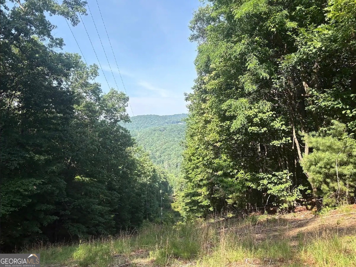 0 Laurel Branch Drive Property Photo 1