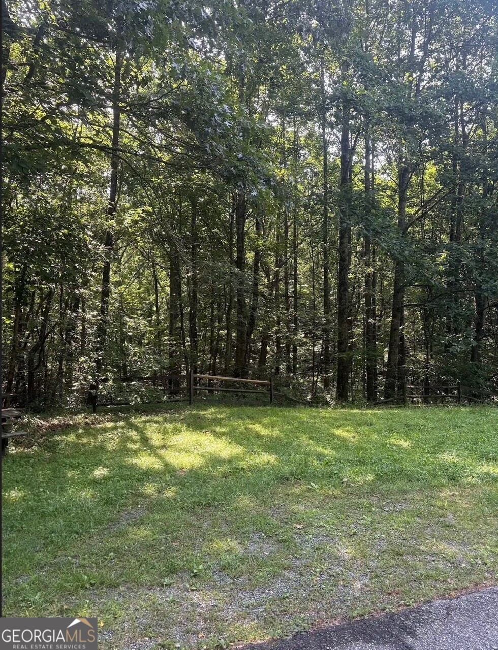 0 Laurel Branch Drive Property Photo 2