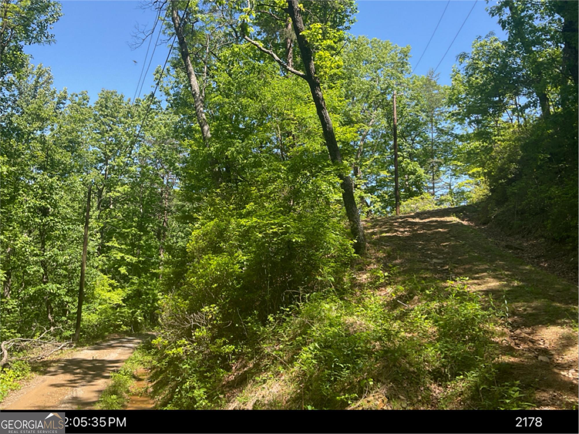 0 Laurel Branch Drive Property Photo 3