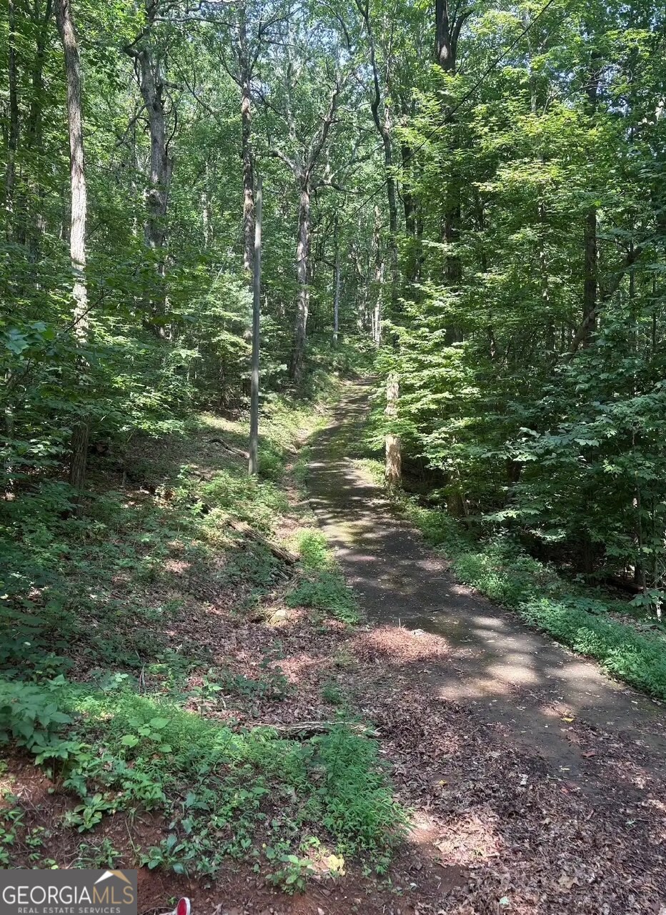0 Laurel Branch Drive Property Photo 4
