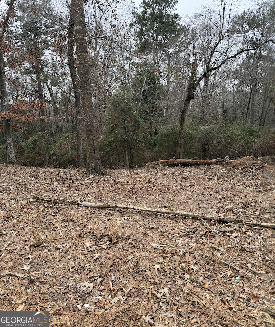5540 Janeru Circle Property Photo 2
