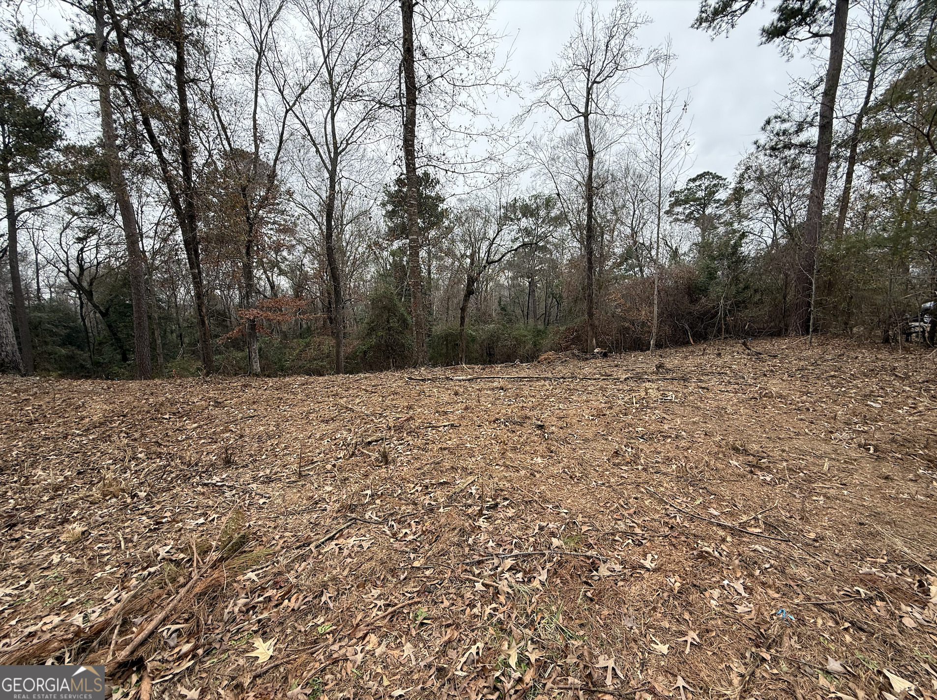 5540 Janeru Circle Property Photo 4