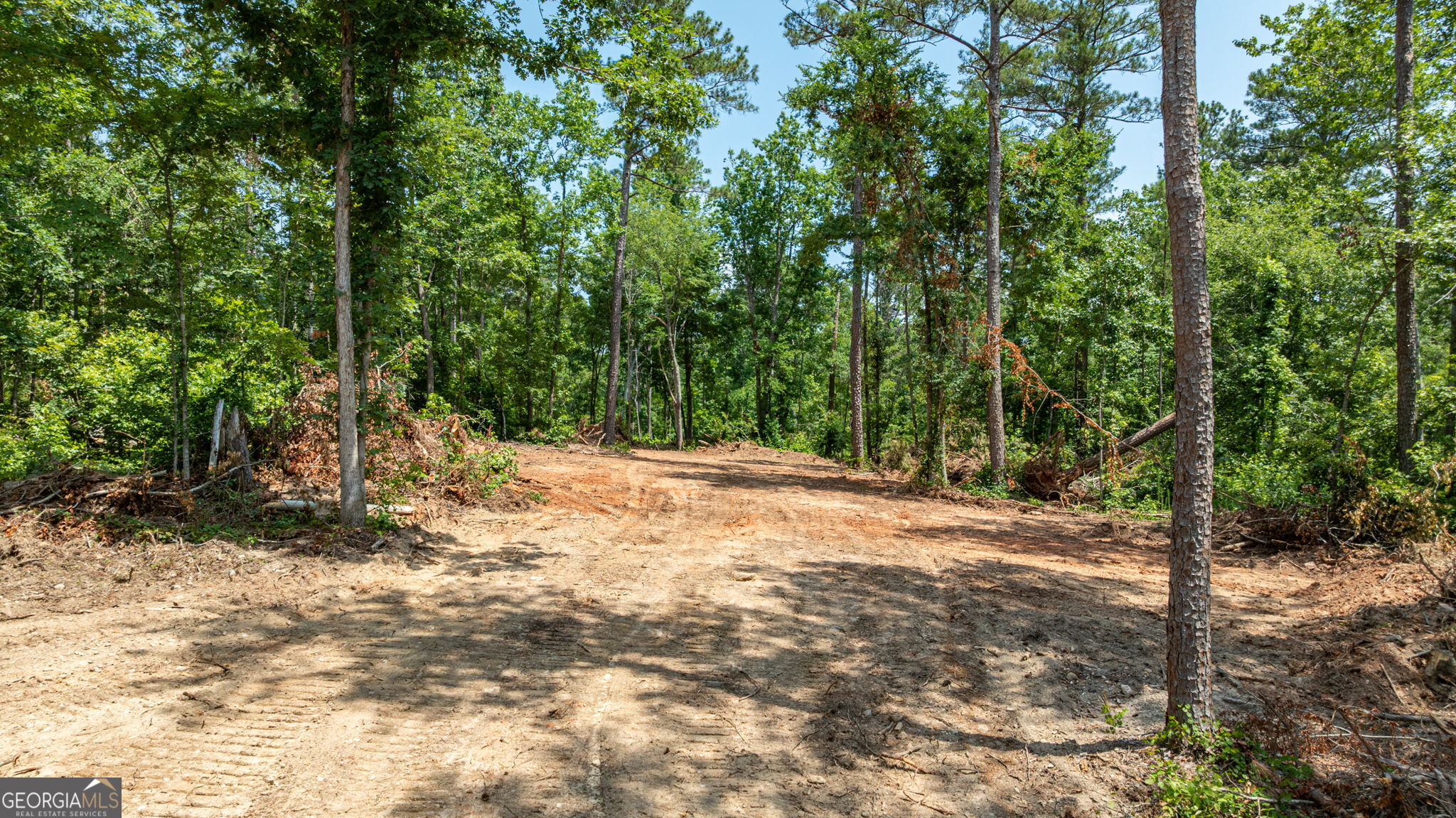 499 Faust Farm Road Property Photo 4