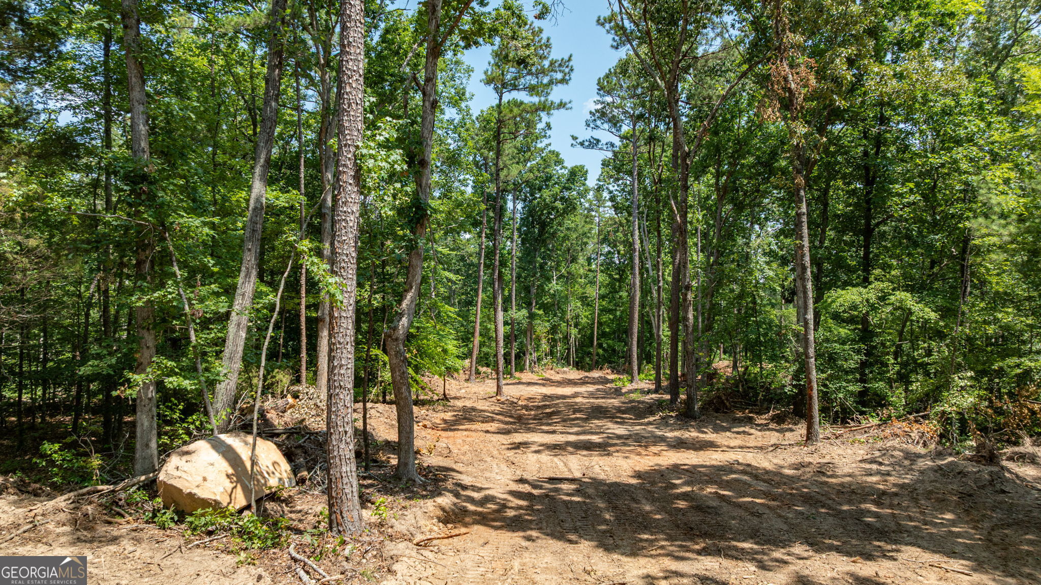 499 Faust Farm Road Property Photo 5