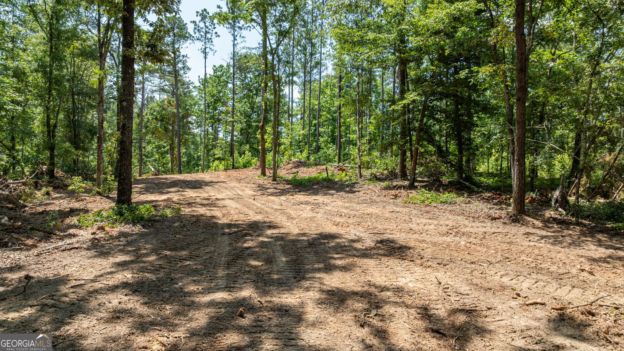 499 Faust Farm Road Property Photo 6