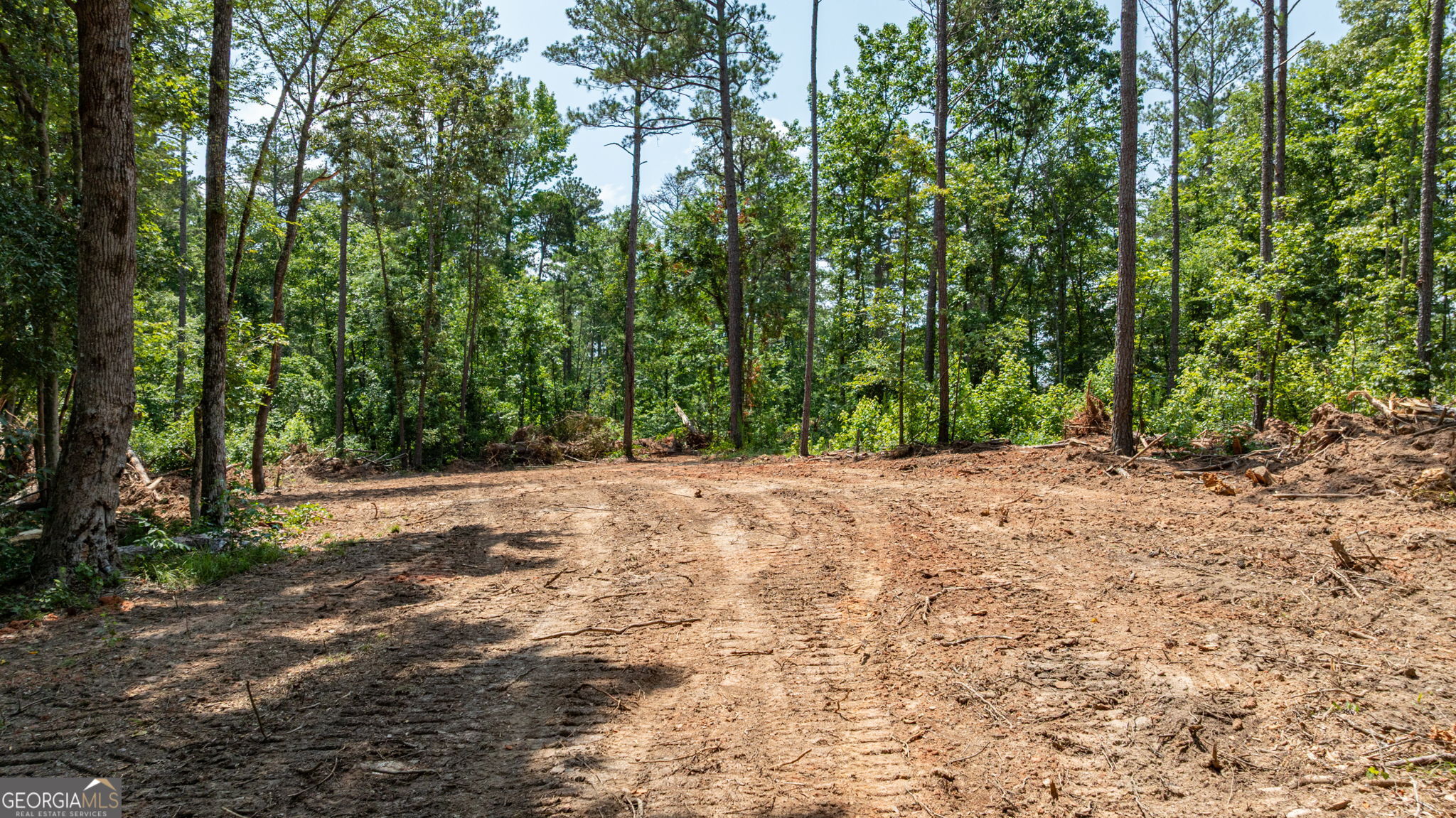 499 Faust Farm Road Property Photo 7