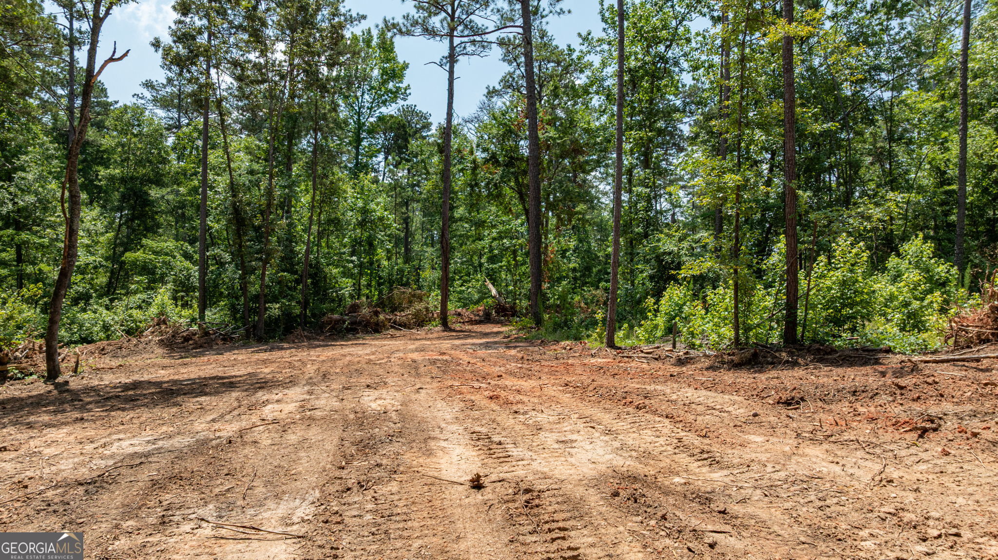 499 Faust Farm Road Property Photo 8