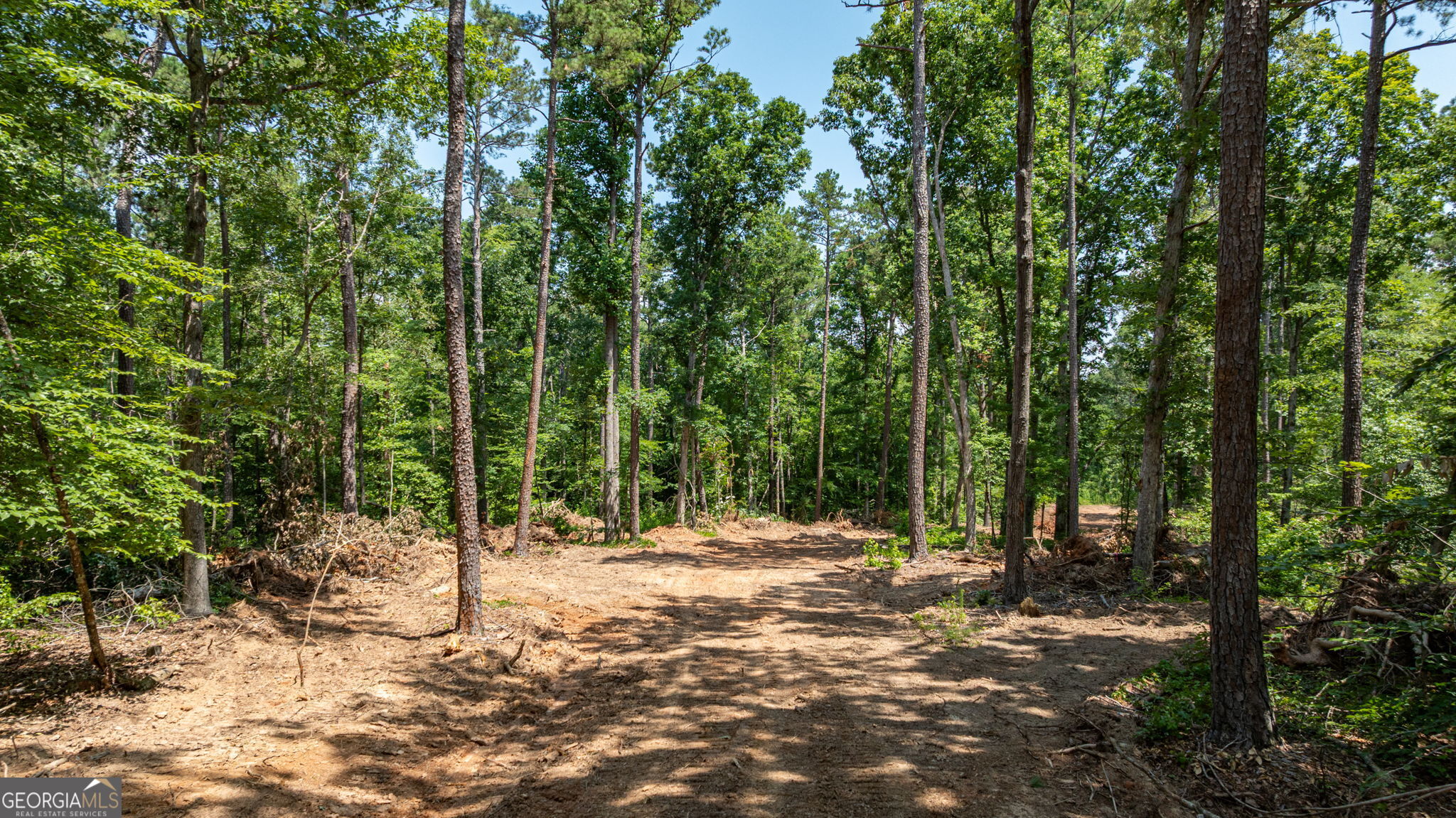 499 Faust Farm Road Property Photo 9