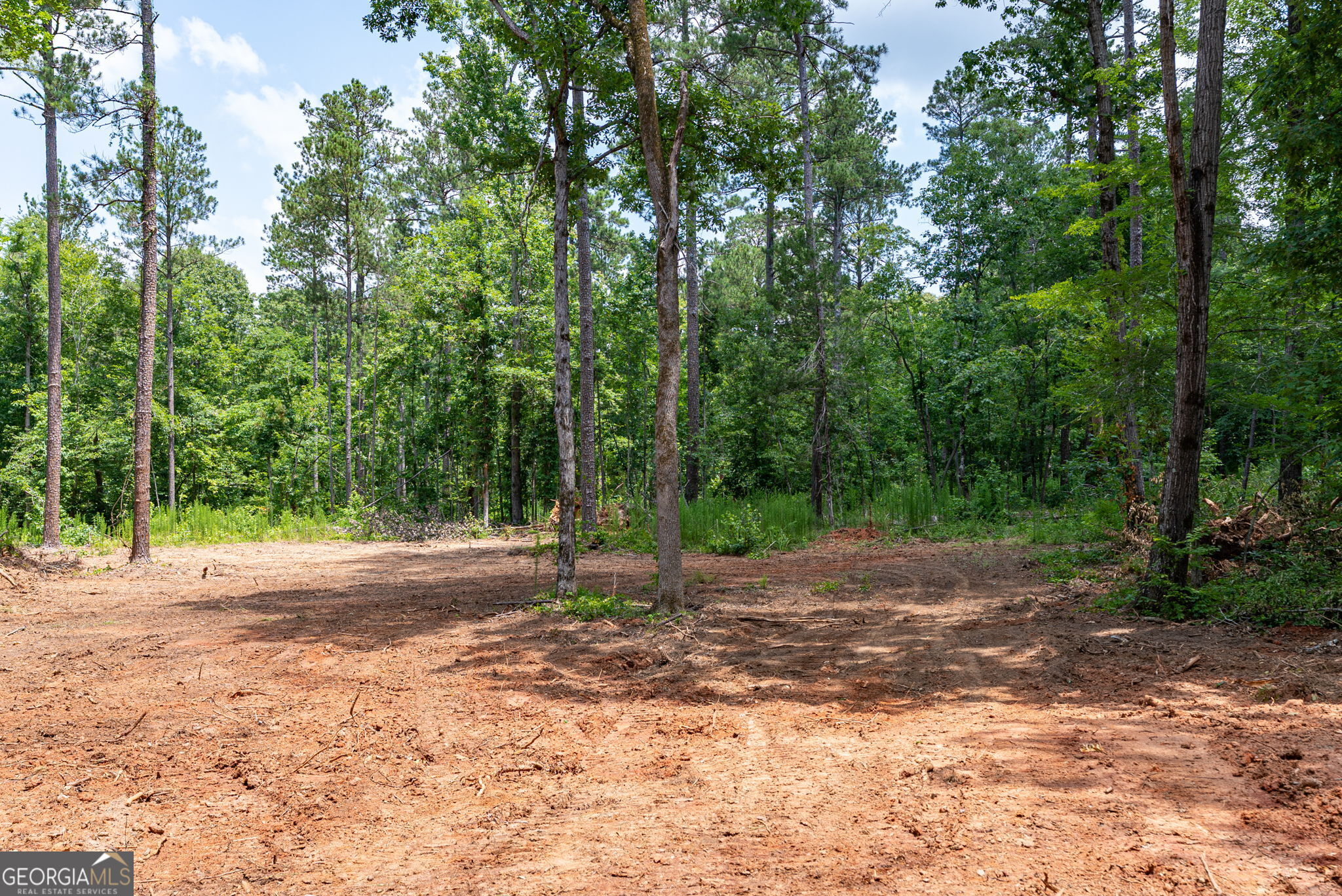 499 Faust Farm Road Property Photo 10