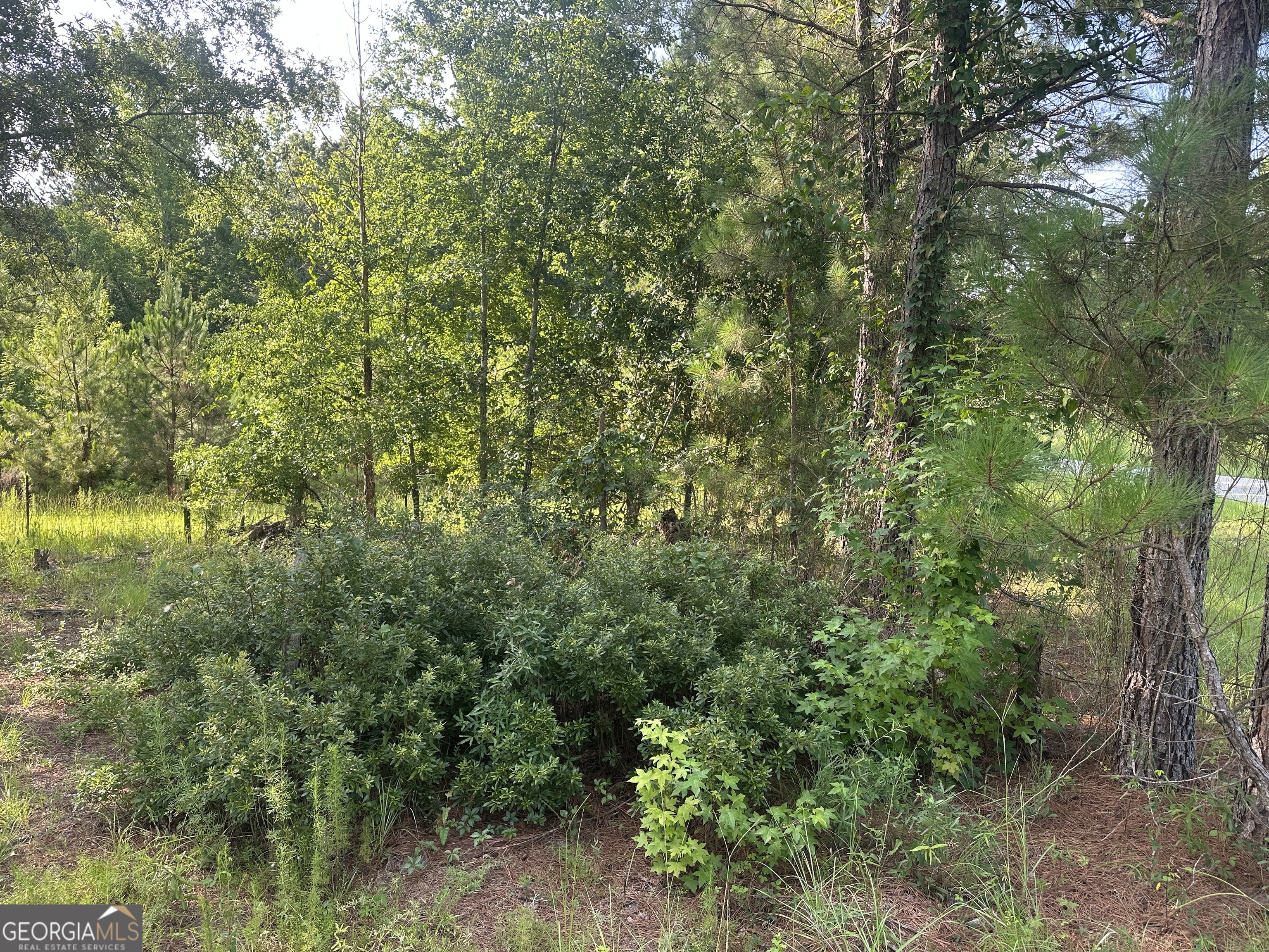 900 Habersham Church Road Property Photo 3