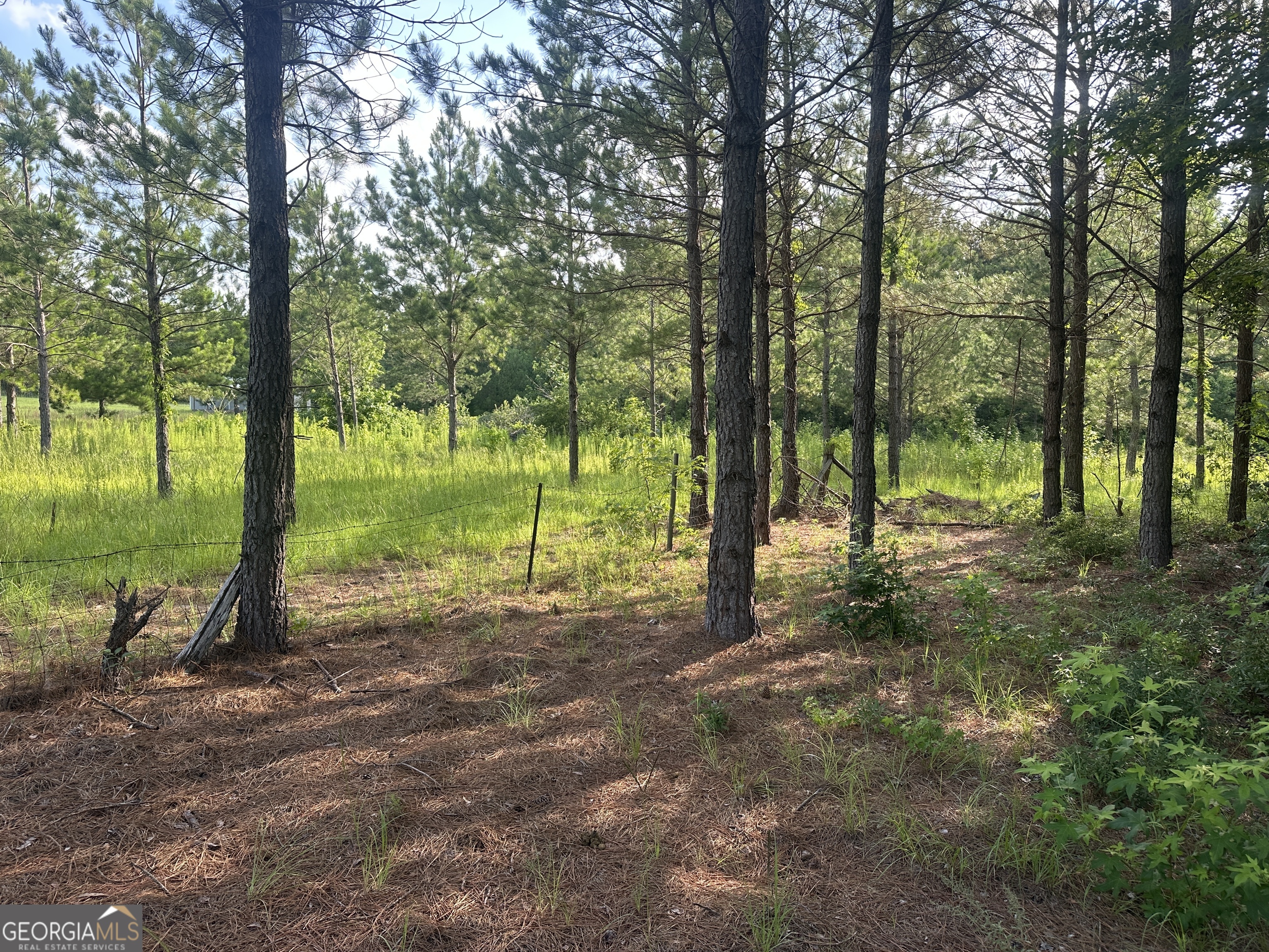 900 Habersham Church Road Property Photo 4