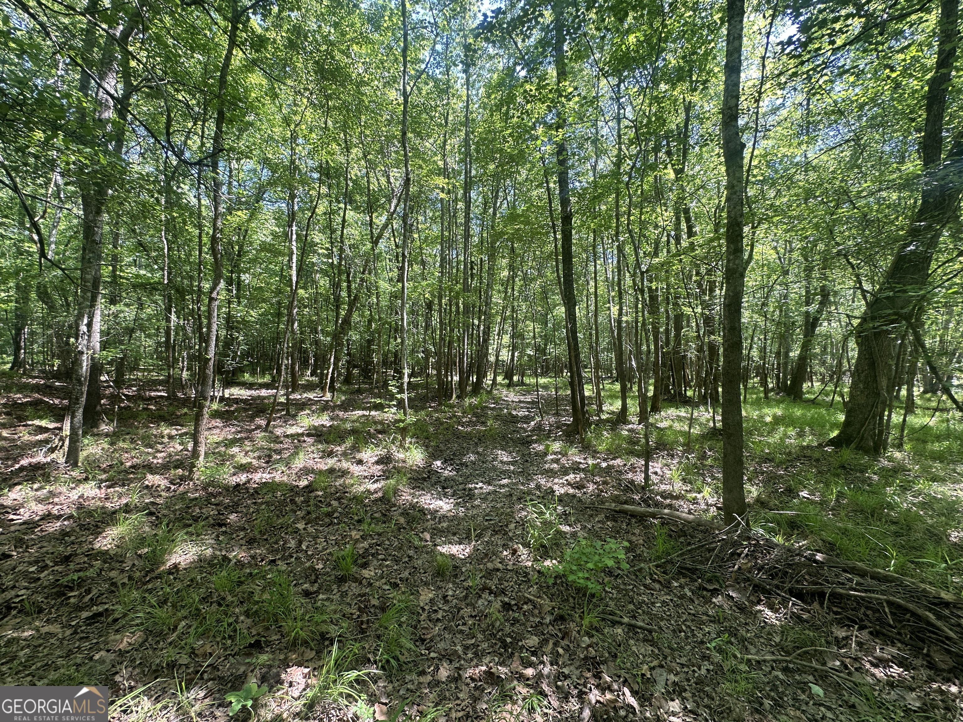 900 Habersham Church Road Property Photo 7