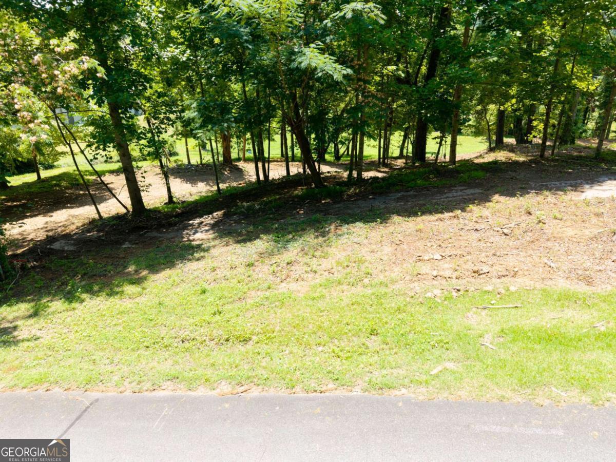 Lot #3 Tranquil Pointe Lane Property Photo 20