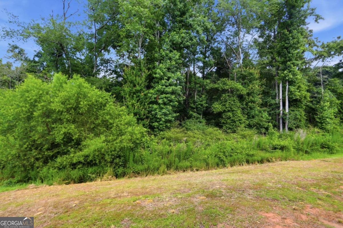 115 Culver Street Property Photo 30