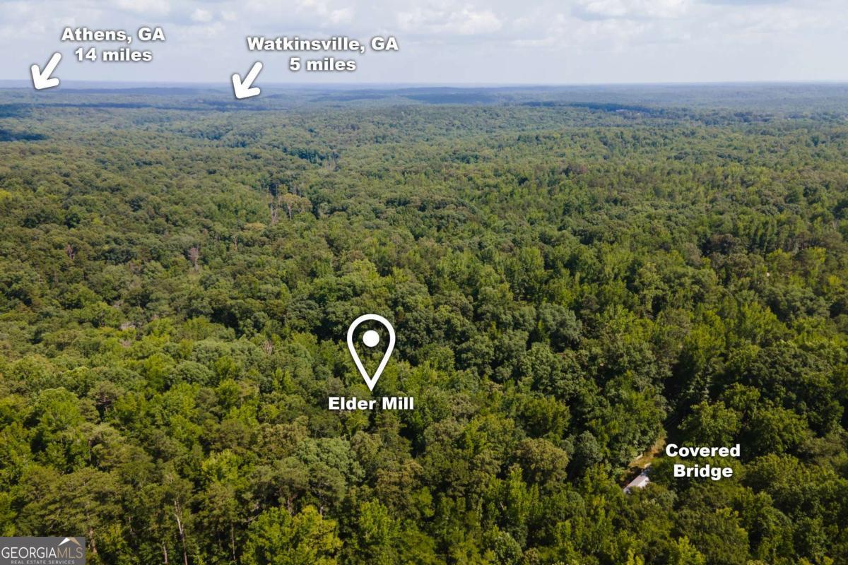 1381 Elder Mill Road Property Photo 47