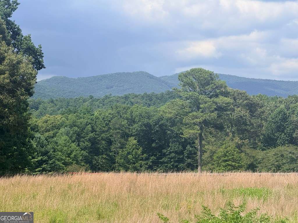Lt 6 Spring Camp Road Property Photo 2