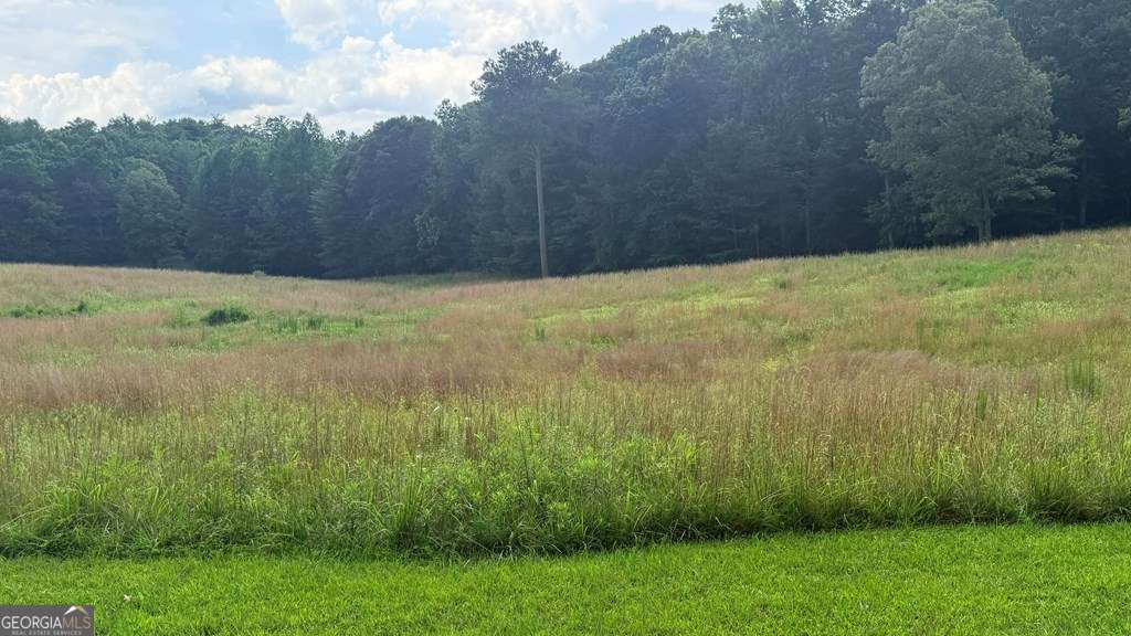 Lt 6 Spring Camp Road Property Photo 3