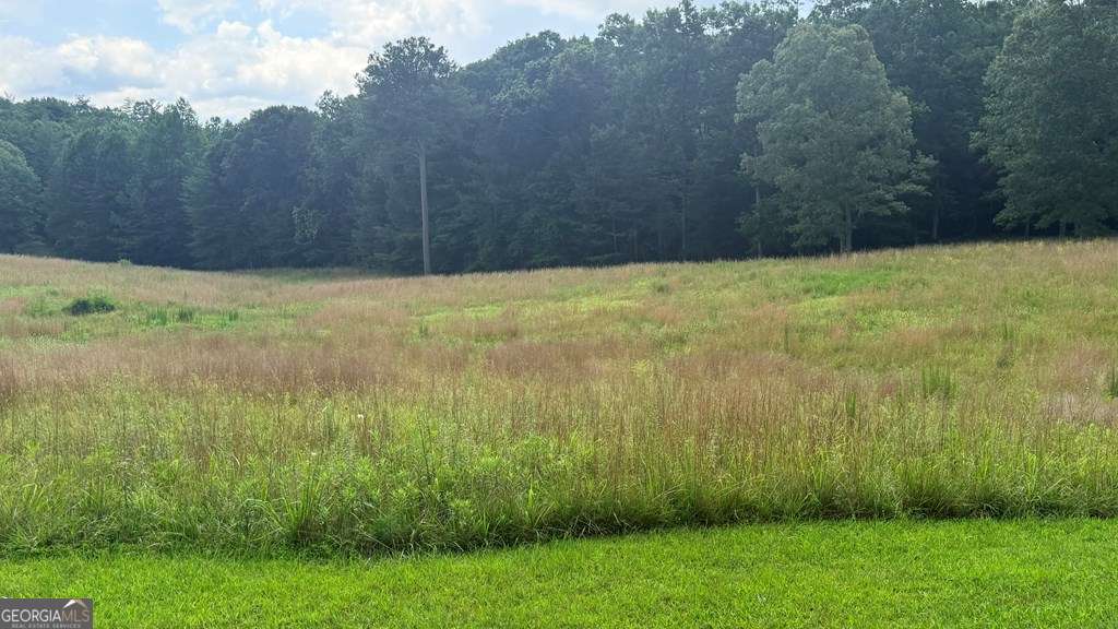 Lt 6 Spring Camp Road Property Photo 6