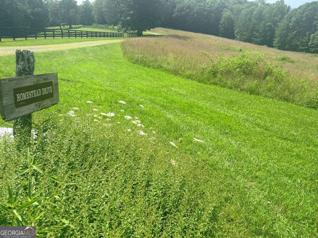 Lt 6 Spring Camp Road Property Photo 8