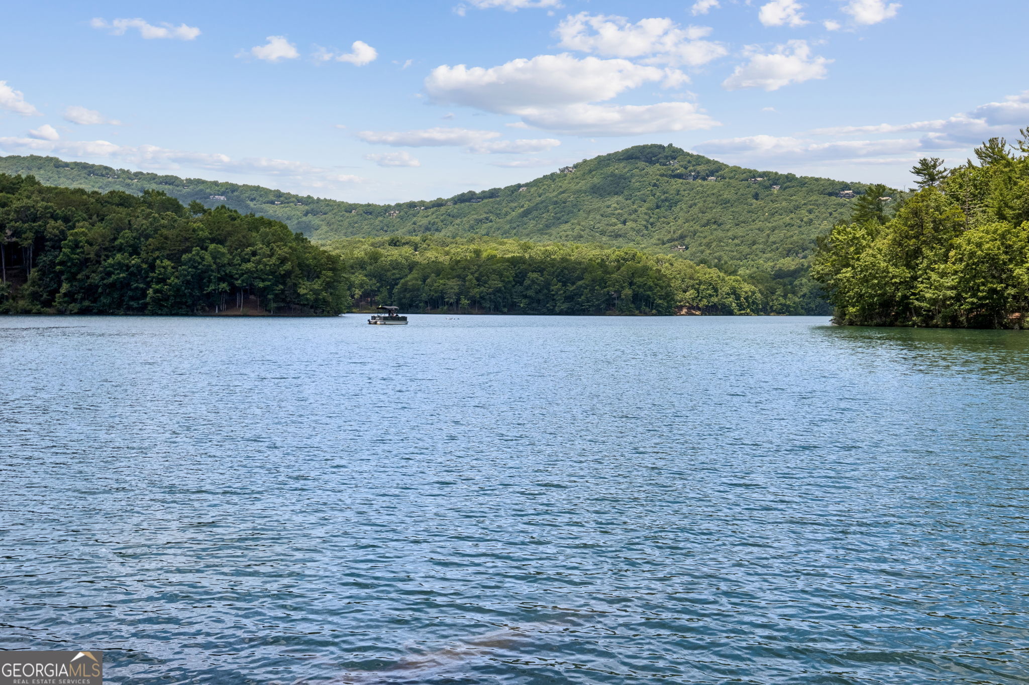 208 Trout Lily Trail Property Photo 57