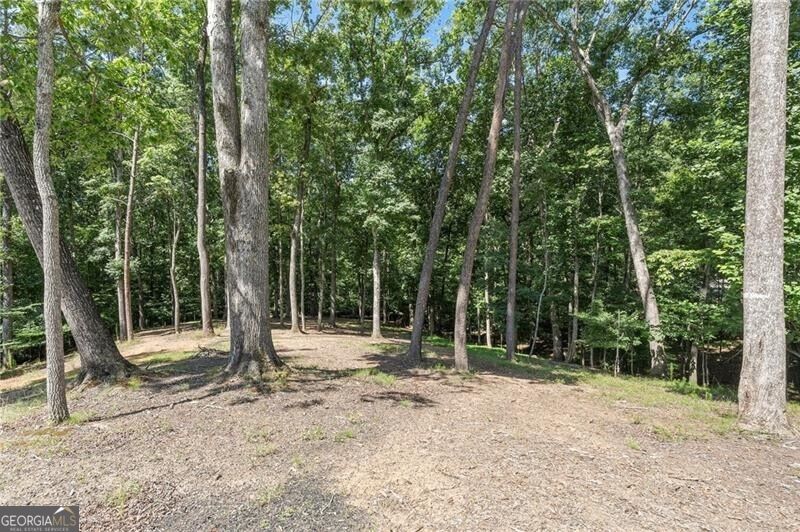 3394 Robinson Road Property Photo 59