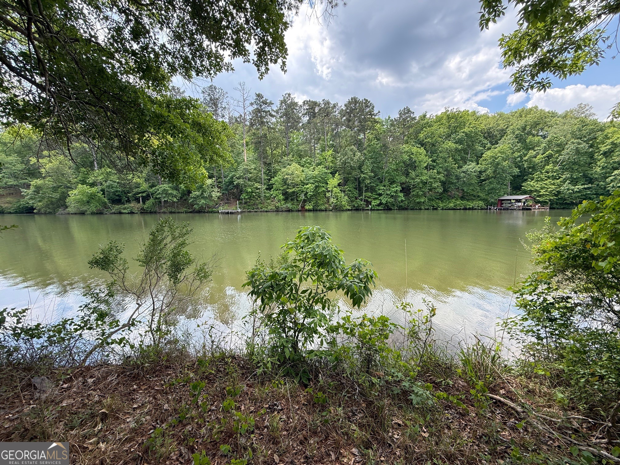 0 Hickory Pass Property Photo 3