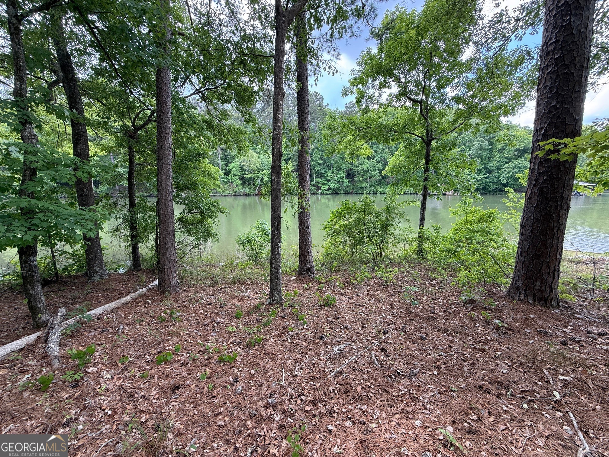 0 Hickory Pass Property Photo 4