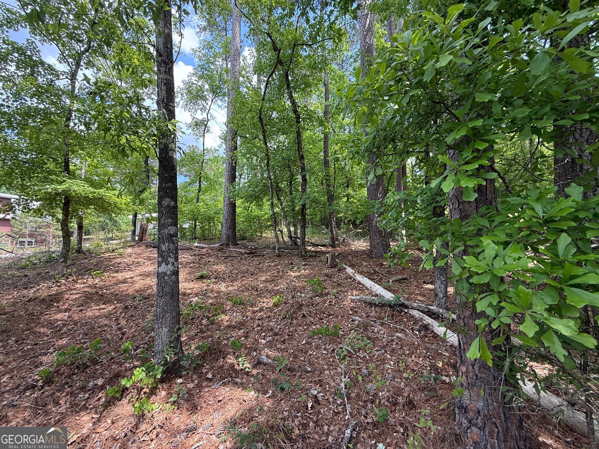 0 Hickory Pass Property Photo 5